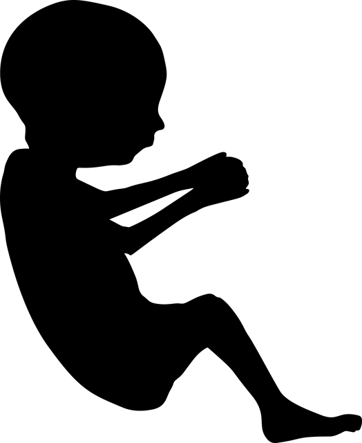 Yaratıcılığı Geliştirme Yaratıcılığı Geliştirme